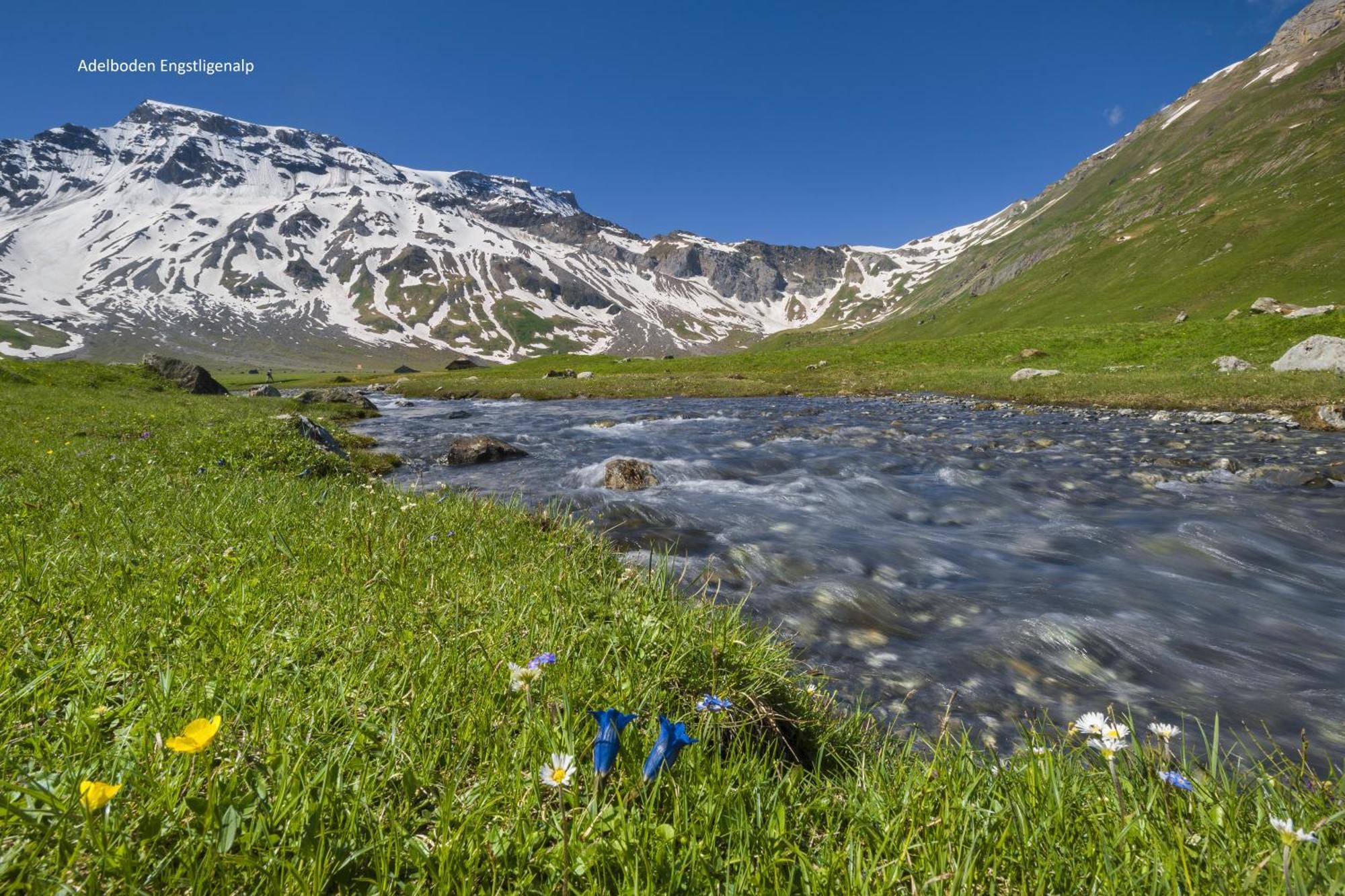 Energy अपार्टमेंट Kandersteg